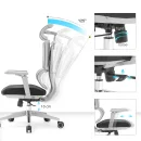 B&uuml;rodrehstuhl mit Kopf- Nackenst&uuml;tze und 5D Armlehnen, 3D geteilter Netzr&uuml;cken, Lordosenst&uuml;tze, grau/schwarz