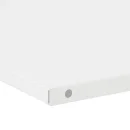 Fachboden f&uuml;r Fl&uuml;gelt&uuml;renschrank B 925 x T 500 mm - signalwei&szlig;